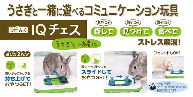 マスターオブIQチェス