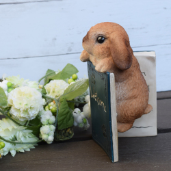 ロップイヤーのウェウカムBOOK