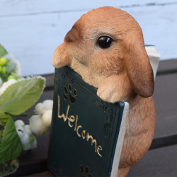 ロップイヤーのウェウカムBOOK