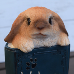 ロップイヤーのウェウカムBOOK