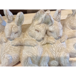 赤ちゃんポーズのうさぎたち　フォトスタンド